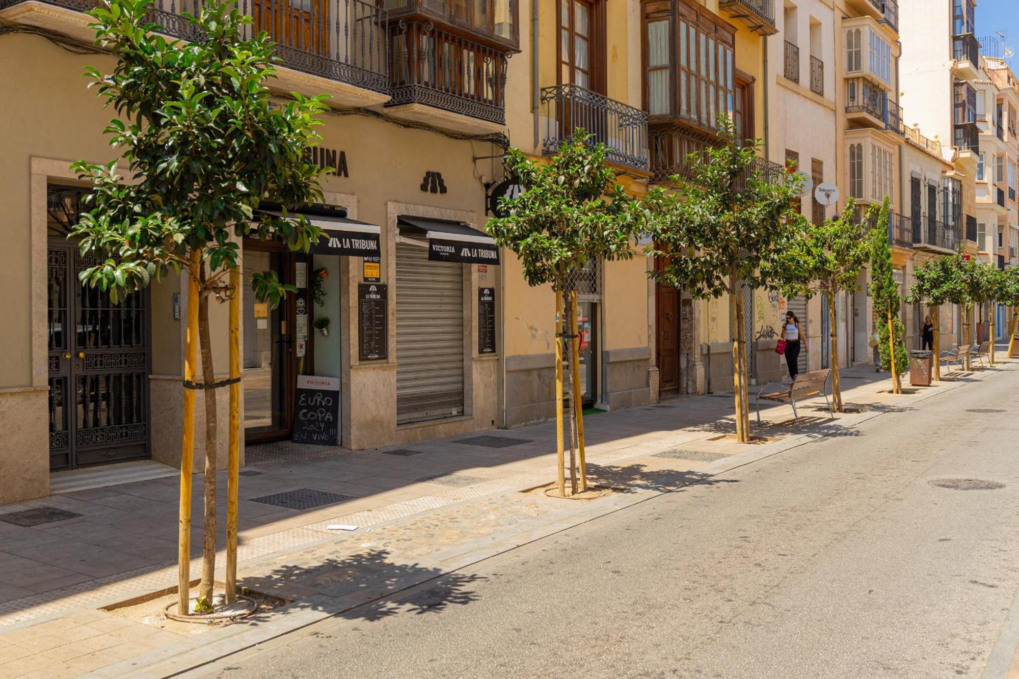 C103 - Sunny Terrace, Old Town Views Daire Málaga Dış mekan fotoğraf